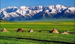 新疆旅游网红爆料视频,网红视频揭秘绝美风光与独特风情